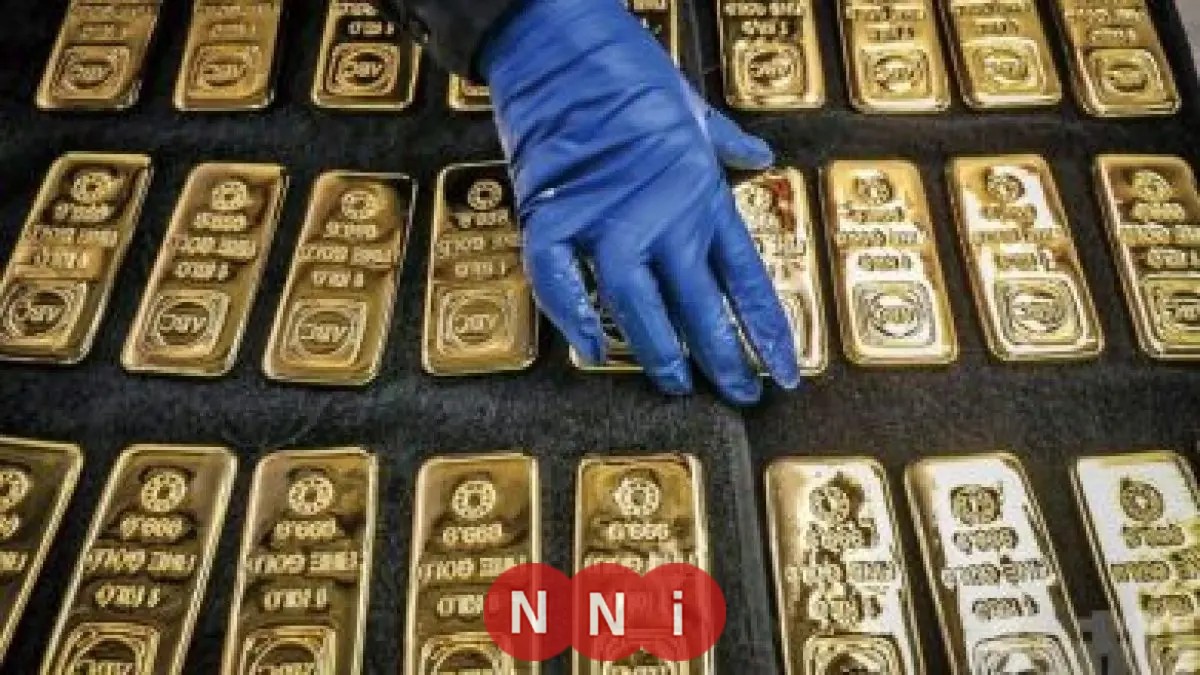 أسعار الدواجن والبيض تتأرجح في الأسواق المصرية اليوم الأحد