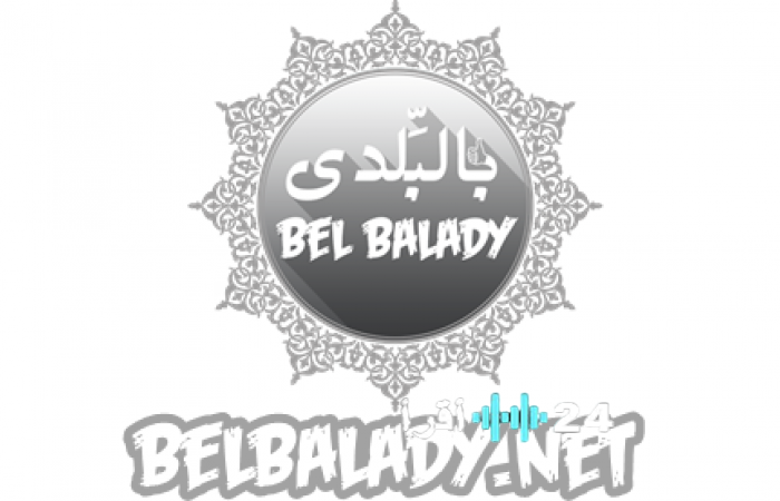 كيفية توثيق عداد الكهرباء والاستعلام عن فاتورة يناير 2026