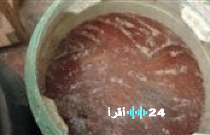 مصادرة 1.6 طن لحوم وأسماك غير صالحة للاستهلاك بحملات رقابية مكثفة في الدقهلية