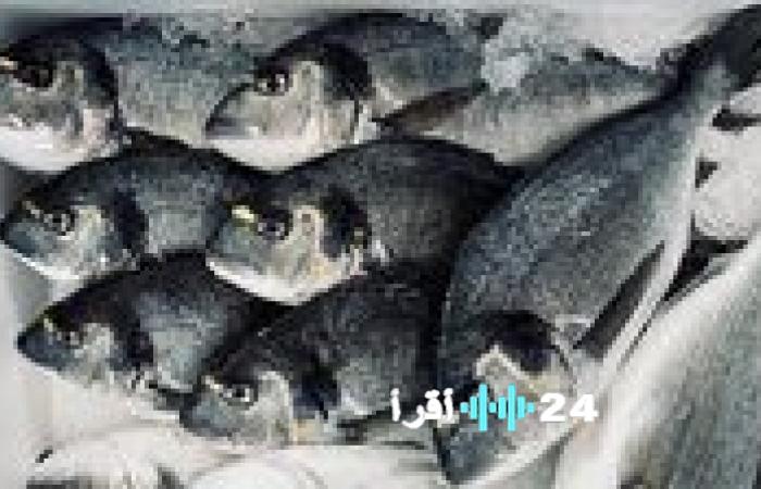 أسعار السمك في الأسواق اليوم الأربعاء 31 ديسمبر
