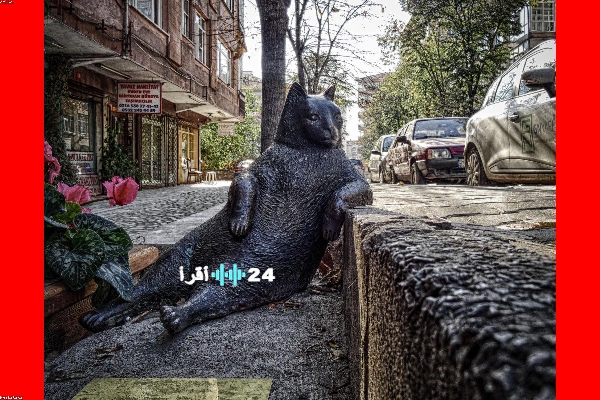 تردد قناة وناسة 2025 يتيح تحديثات مميزة ومزايا جديدة للبث