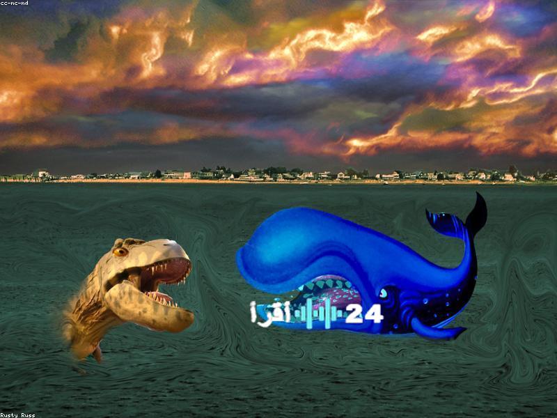 تردد قناة ناشيونال جيوغرافيك الجديد لعام 2024 يتيح لك استكشاف العالم من راحة منزلك