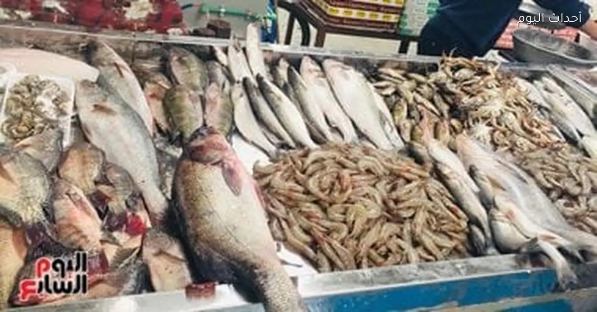 «أسعار الأسماك في أسواق مطروح: البوري يتصدر بقيمة 160 جنيها»
