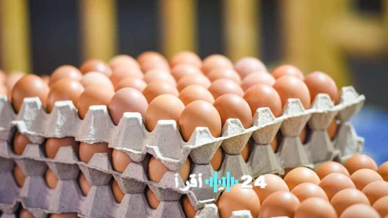 بالأرقام: أسعار البيض في أسواق السبت 6 ديسمبر 2025
