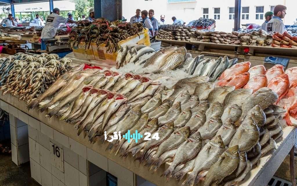 «تحديث أسعار الأسماك والجمبري ليوم الخميس 4 ديسمبر 2025»