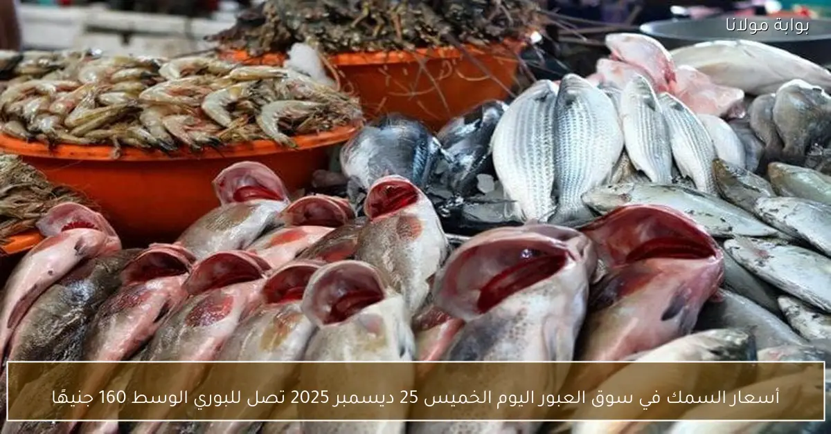 أسعار السمك اليوم الخميس 25 ديسمبر 2025 في سوق العبور البوري الوسط يسجل 160 جنيهًا