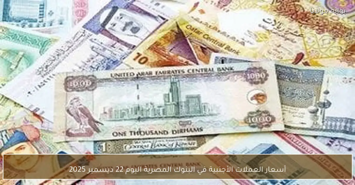 «أسعار العملات الأجنبية في البنوك المصرية اليوم» تتصدر اهتمام المستثمرين في 22 ديسمبر 2025
