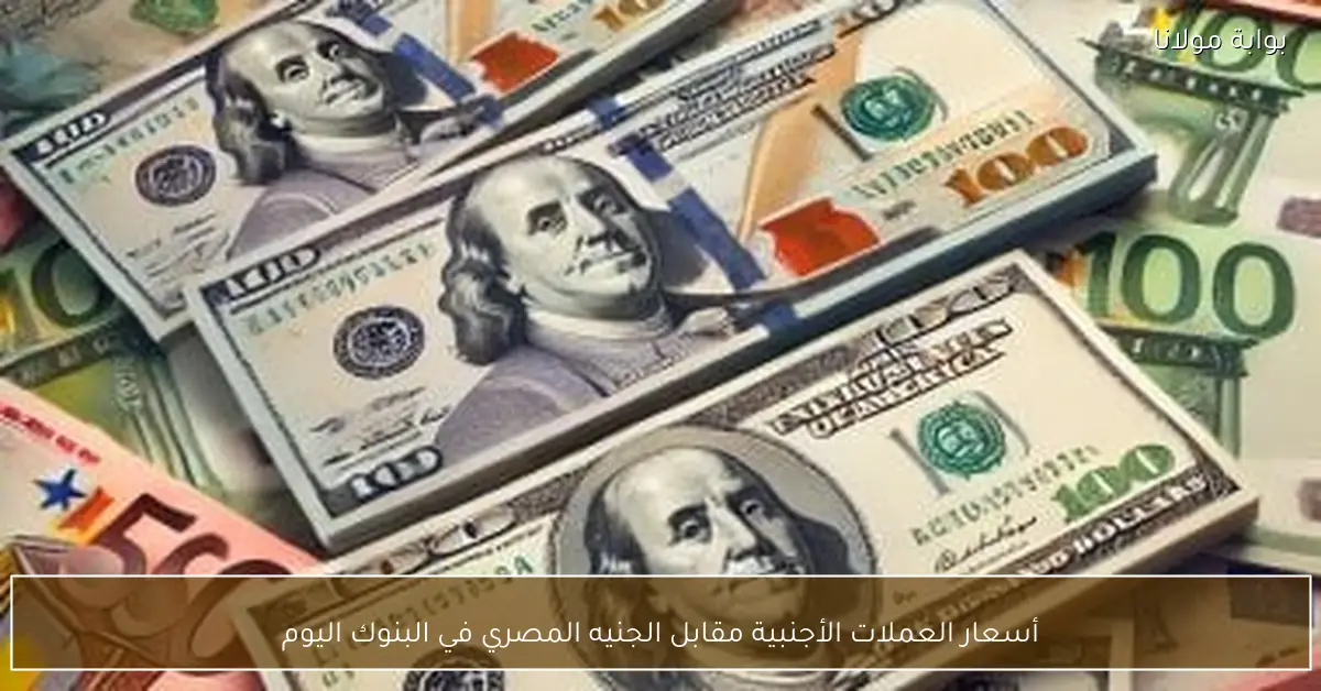 «نبض السوق المالي» آخر أسعار صرف العملات الأجنبية أمام الجنيه المصري بالبنوك اليوم