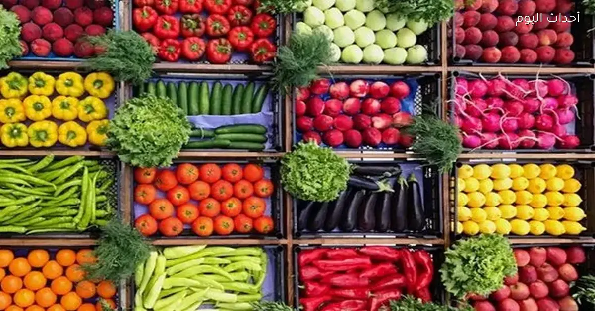 «أسعار الفاكهة في الأسواق: تحديث اليوم الأحد 21 ديسمبر 2025»