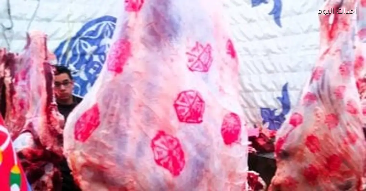 ارتفاع أسعار الفراخ والسمك في أسواق سوهاج اليوم