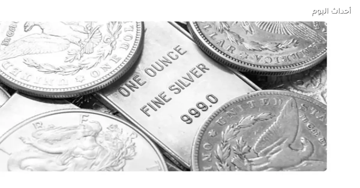 «أسعار الفضة في مصر تتجاوز الأرقام القياسية بارتفاع 130% منذ بداية 2025»