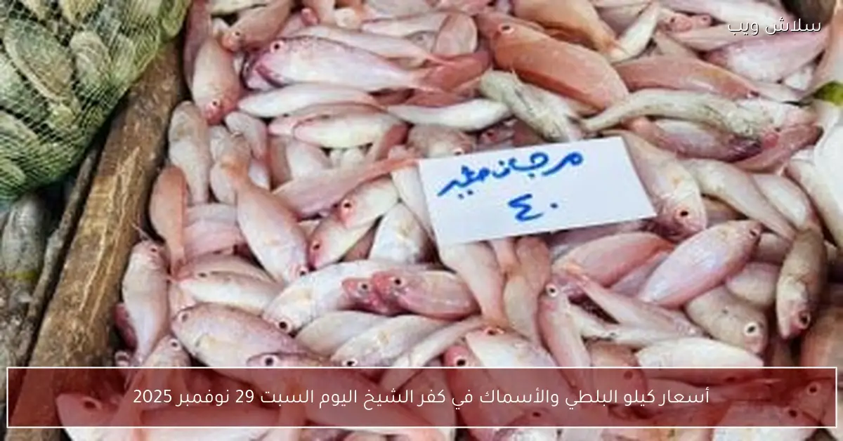أسعار كيلو البلطي والأسماك في كفر الشيخ اليوم السبت 29 نوفمبر 2025