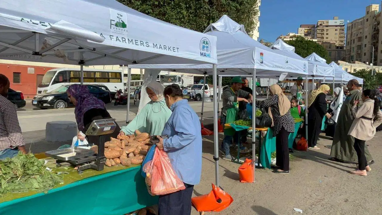 «أسواق اليوم الواحد: تخفيضات تصل إلى 20% على الأسعار»