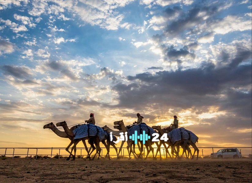 إعلان الفائزين بالمراكز الأولى في شوط سيف الملك وشوط الرؤية ضمن نهائي “صفر” بمهرجان الإبل