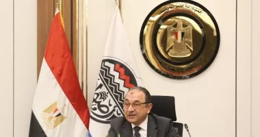 ارتفاع إيرادات الشركات المصرية إلى 126 مليار جنيه ووزير قطاع الأعمال يكرم المتميزين