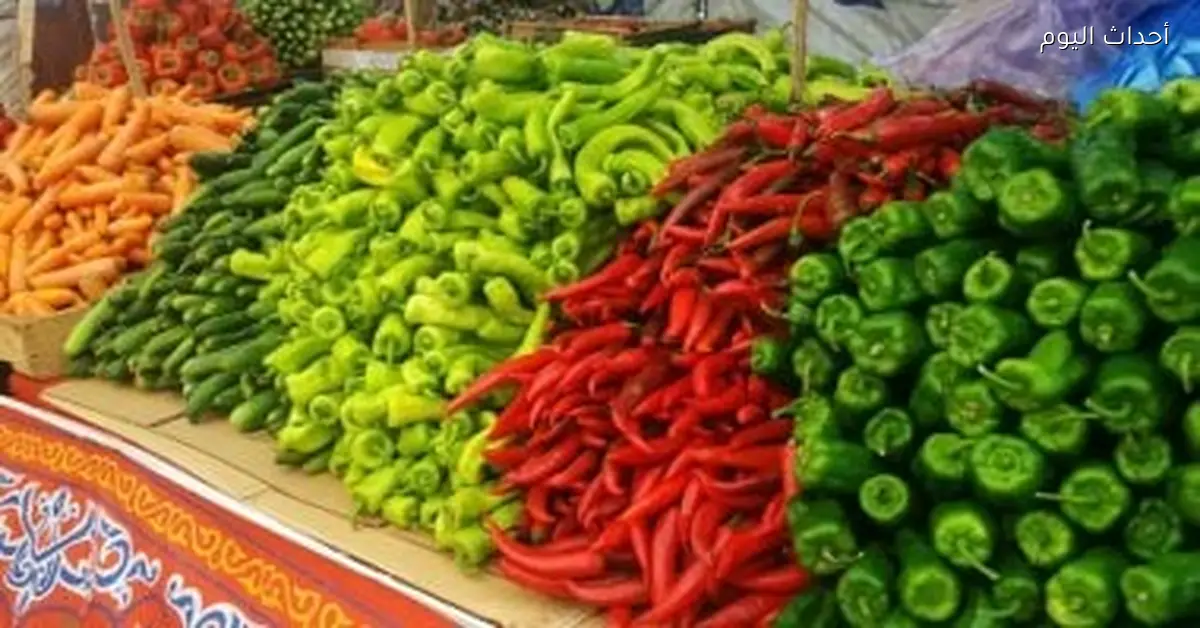 «طمأنينة في الأسواق» مؤشرات أسعار الخضراوات والفاكهة بالمنوفية اليوم 24 ديسمبر 2025: ثباتٌ يُريح المستهلكين