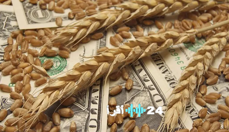 ارتفاع أسعار القمح نتيجة الهجمات على موانئ البحر الأسود