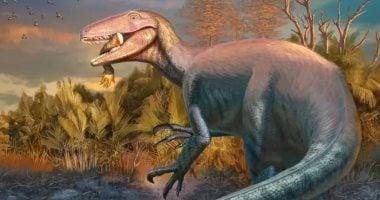 اكتشاف ستة أنواع جديدة من الديناصورات المثيرة في 2025