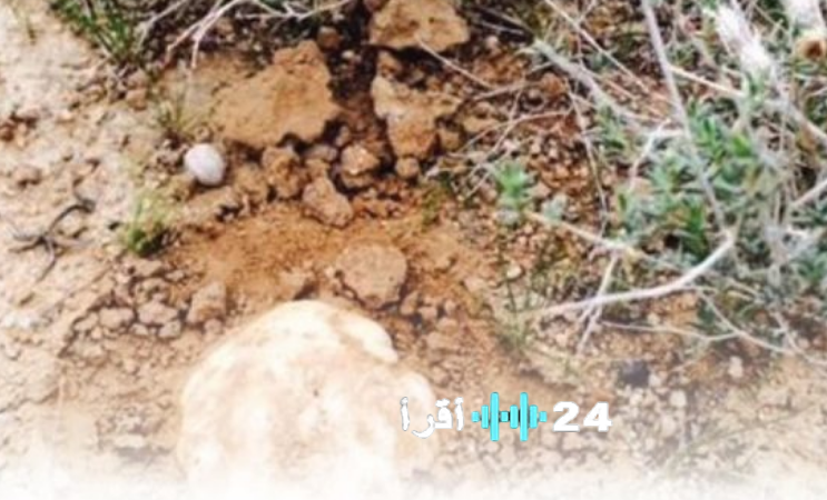 تحذير حرس الحدود: ابتعدوا عن المناطق الحدودية أثناء البحث عن الفقع