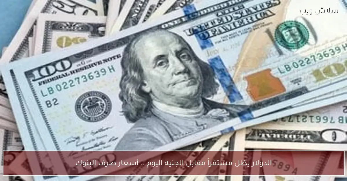 الدولار اليوم يواصل استقراره أمام الجنيه أسعار الصرف بالبنوك