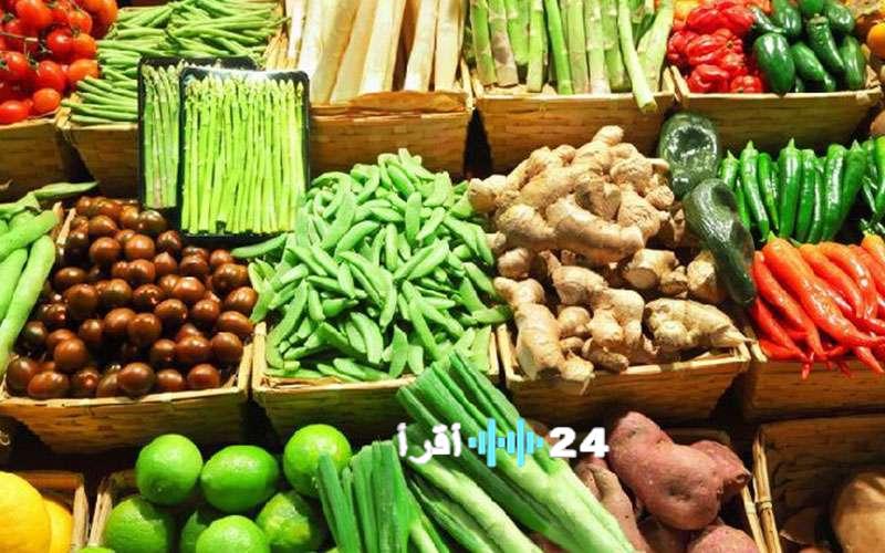 «ازدهار غير مسبوق» طفرة في الصادرات الزراعية بزيادة 700 ألف طن في عام واحد