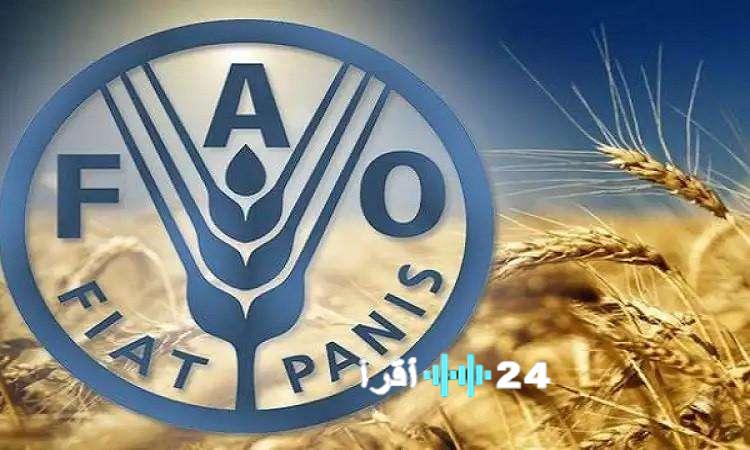 «انخفاض أسعار الغذاء العالمية للشهر الثالث على التوالي في نوفمبر»