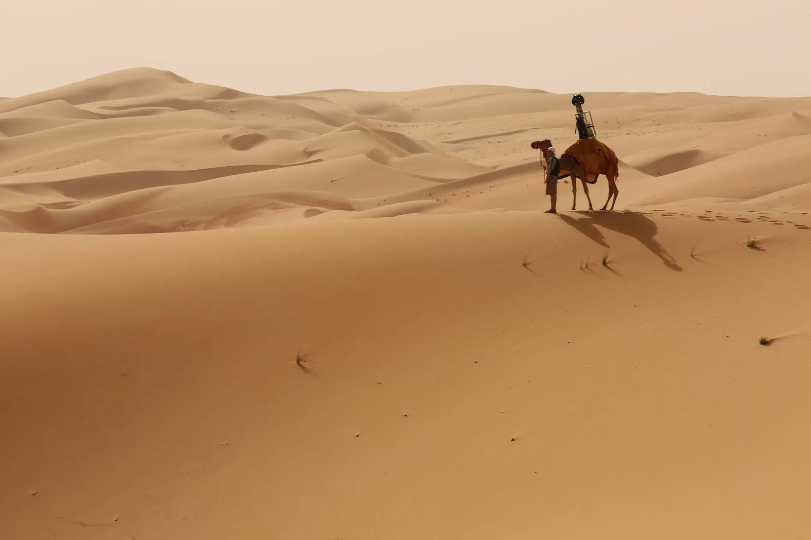 النتيفات كشف الأصول والانتماء القبلي وأبرز المحطات التاريخية