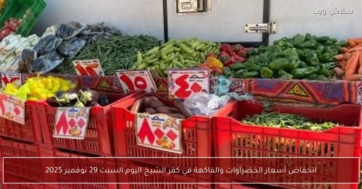 هبوط أسعار الخضراوات والفاكهة في كفر الشيخ اليوم السبت 29 نوفمبر 2025
