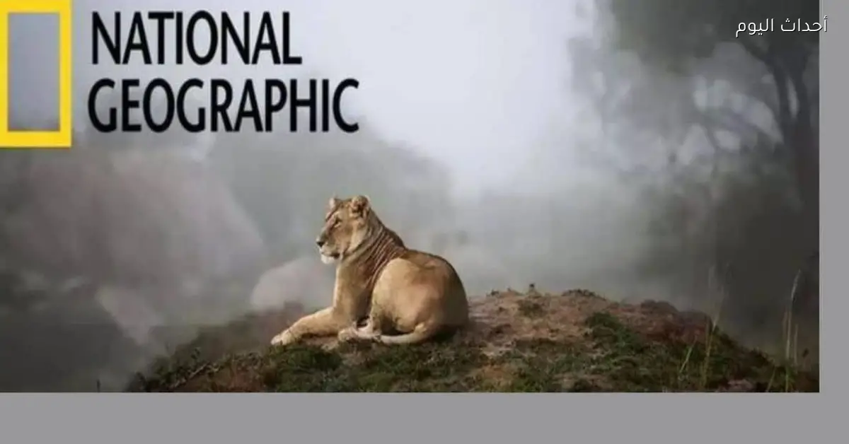تردد قناة ناشونال جيوغرافيك 2025 استمتع برحلة مثيرة في عالم المعرفة يوميًا