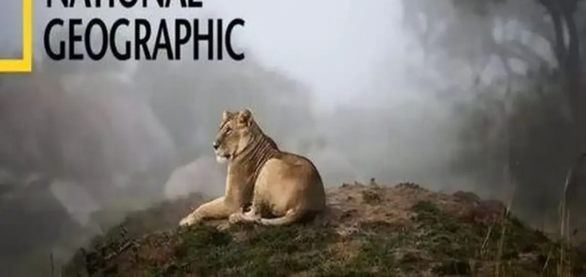 تحديث تردد قناة ناشيونال جيوغرافيك أبوظبي لعام 2026 مع كافة التفاصيل المتاحة