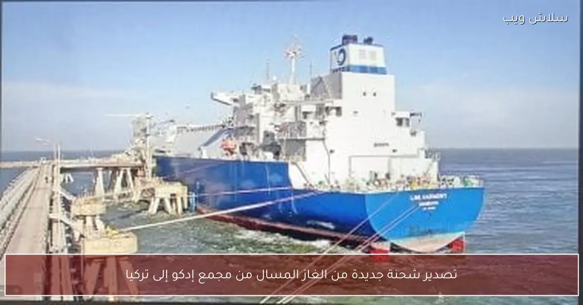 شحنة غاز مسال مصرية جديدة تنطلق من إدكو إلى تركيا