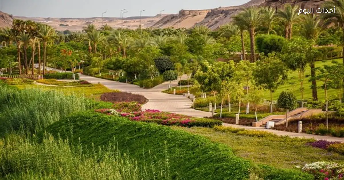 تشيل آوت بارك يطلق حلولاً مؤقتة لضمان ري مسطحاته الخضراء