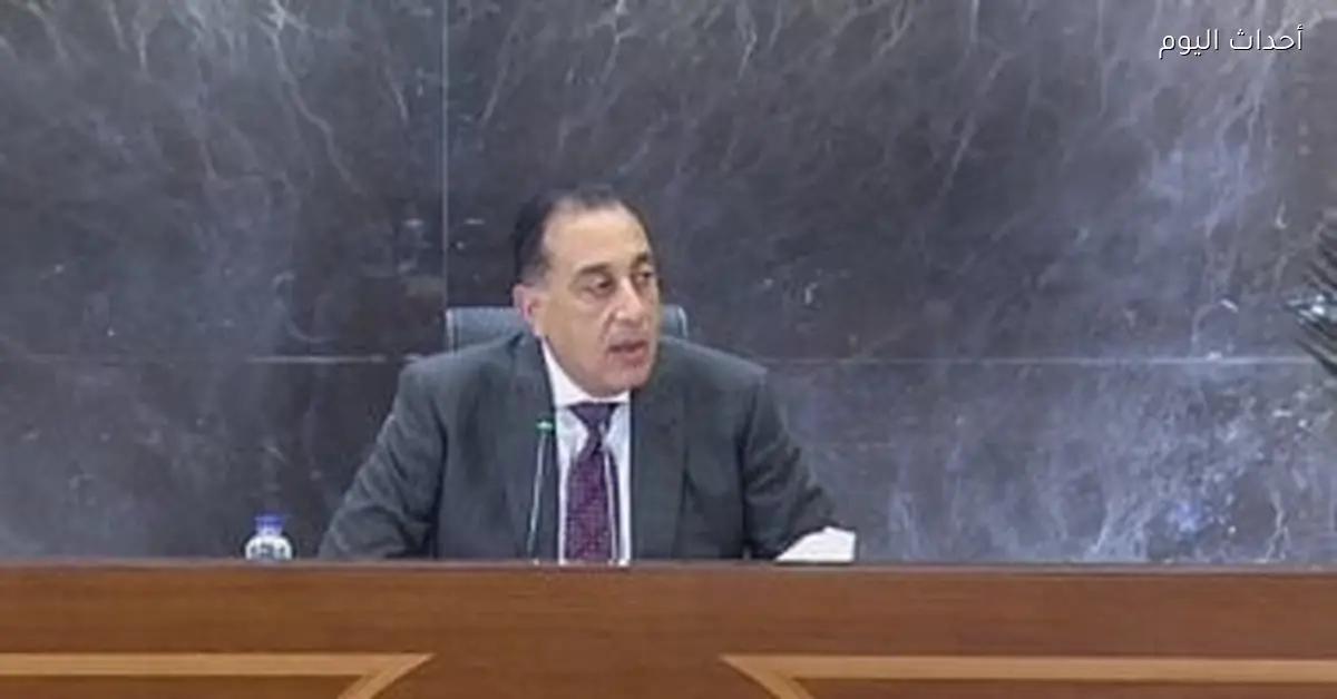 رئيس الوزراء يبحث مع وزير الكهرباء تطوير مشروعات الطاقة المتجددة