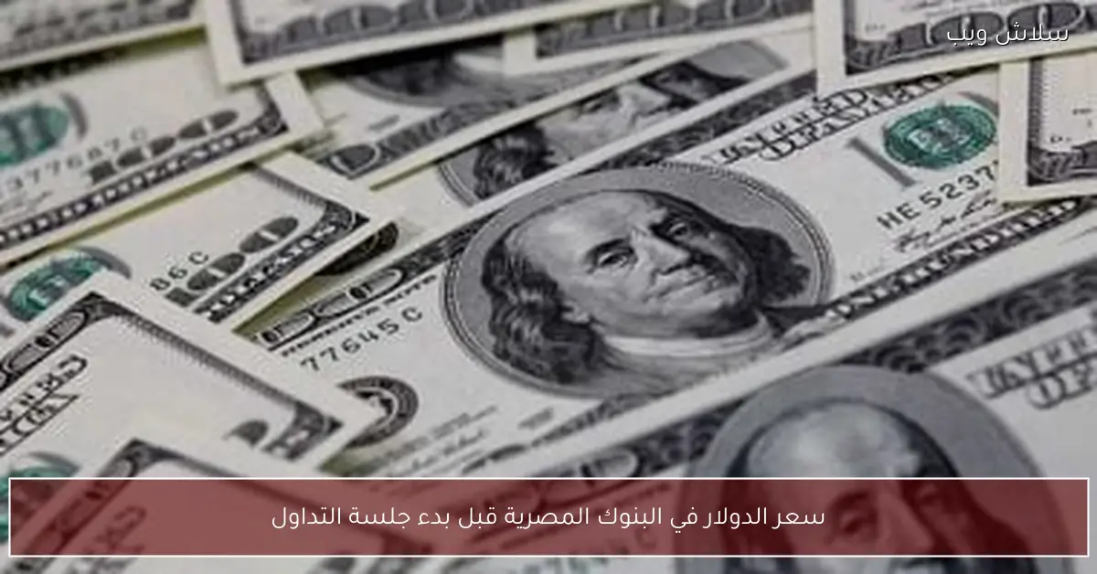 سعر الدولار اليوم في البنوك المصرية قبل بدء التعاملات