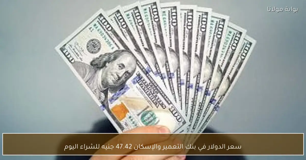 سعر الدولار في بنك التعمير والإسكان يصل إلى 47.42 جنيه للشراء اليوم