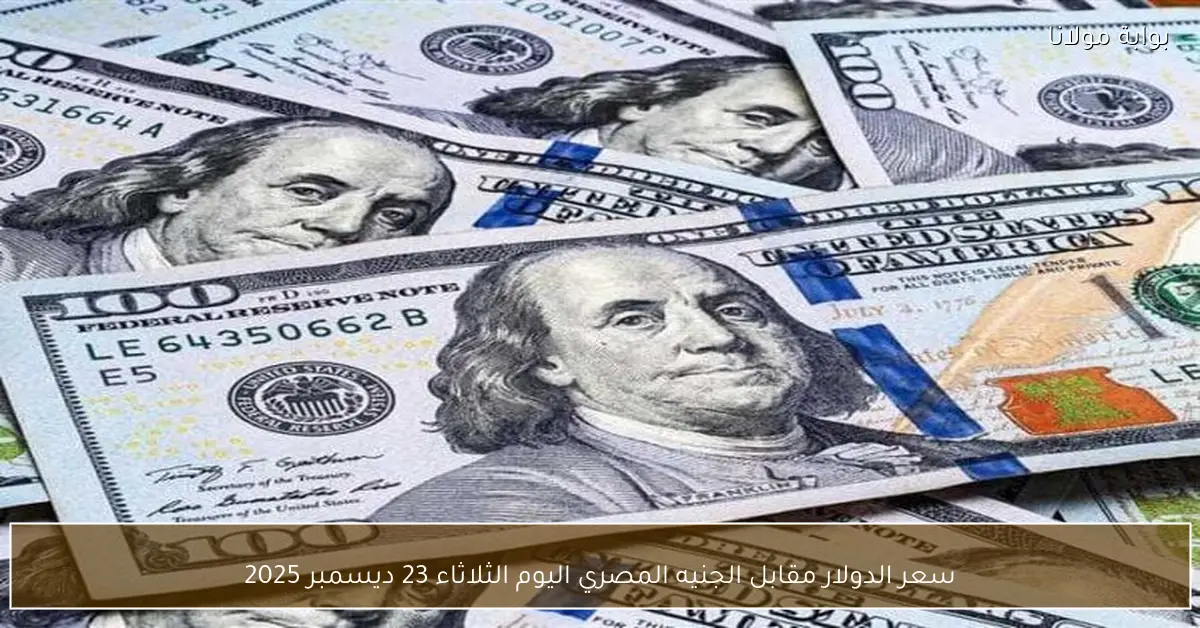 «نبض السوق» سعر الدولار مقابل الجنيه المصري اليوم الثلاثاء 23 ديسمبر 2025 استعراض لأهم التطورات المنتظرة