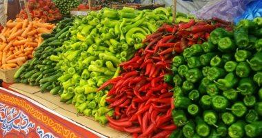 مؤشرات الطماطم اليوم في أسواق القليوبية الأربعاء 3 ديسمبر 2025