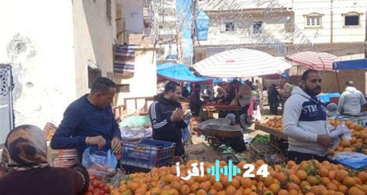 أسعار الطماطم اليوم تحقق مستويات قياسية في الأسواق