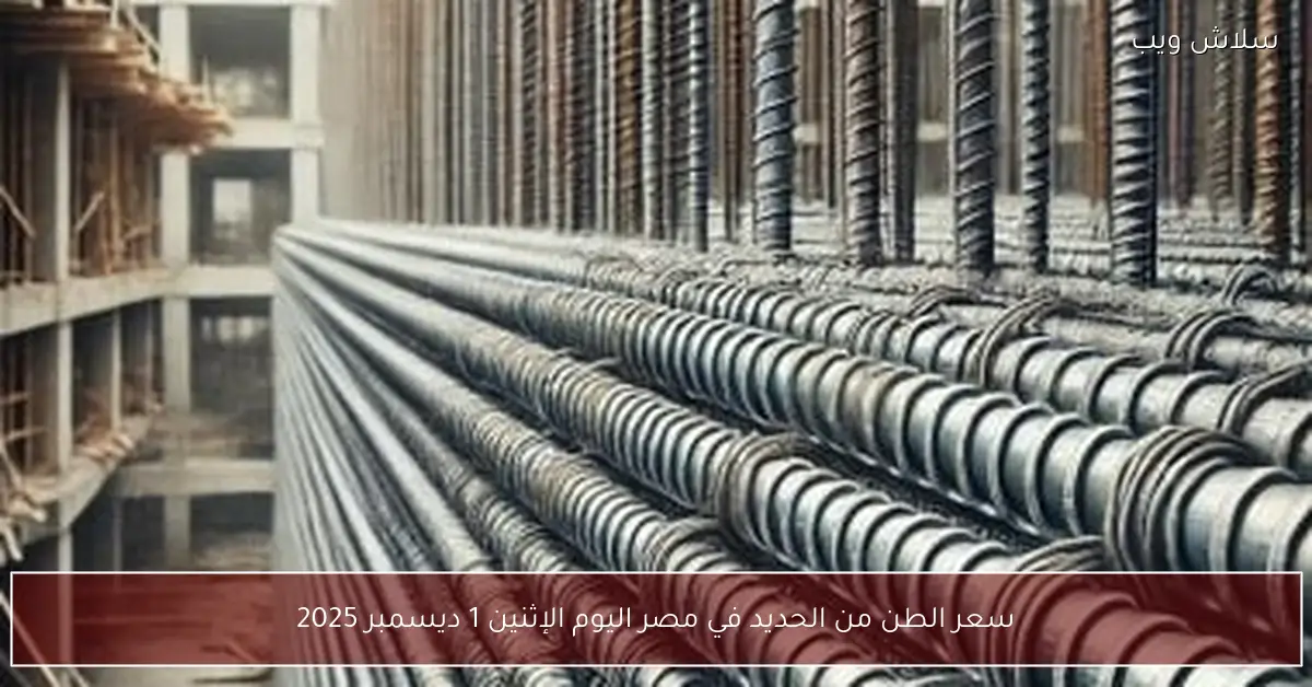 أسعار حديد التسليح في مصر اليوم الإثنين 1 ديسمبر 2025
