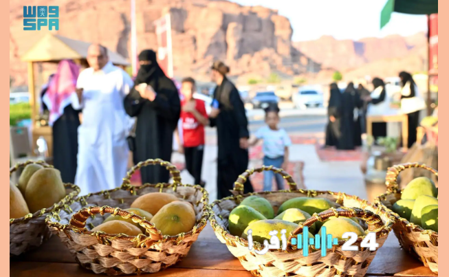 سوق الدمام المركزي يعلن تمديد مزاد الخضار والفواكه 6 أشهرسوق الدمام المركزي يواصل مزاد الخضار والفواكه لـ 6 أشهرسوق الدمام المركزي يقرر تمديد مزاد الخضار والفواكه 6 أشهر