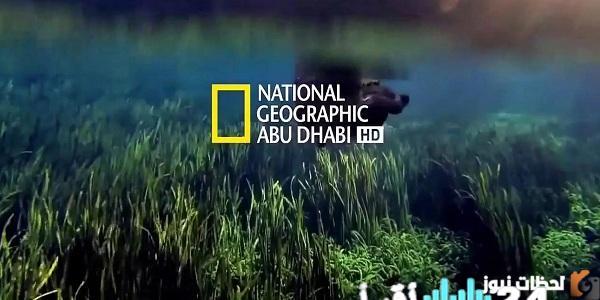 تحديث تردد قناة ناشيونال جيوغرافيك لعام 2026