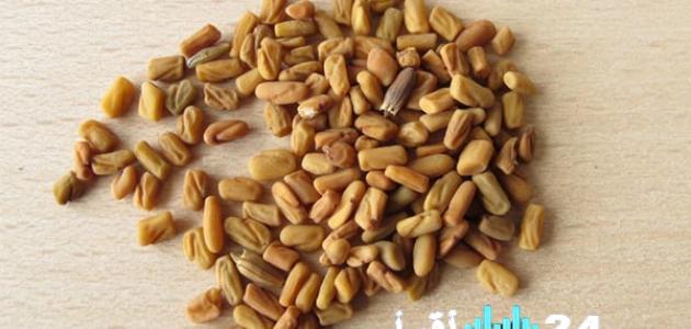 اكتشف فوائد زيت الحلبة في زيادة الوزن وموعد بدء فعاليته في التسمين