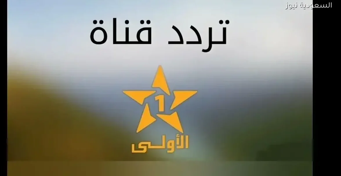 إعلام وطني يعزز الهوية الثقافية ويقدم برامج متنوعة للمشاهد العربي في السعودية