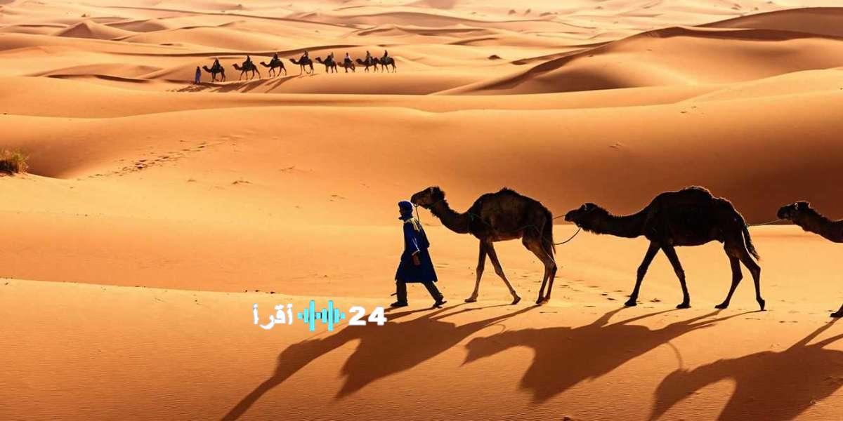 جنوب المملكة العربية السعودية: الكشف عن القبيلة الأكبر نفوذًا وتعدادًا واستكشاف خارطة التنوع القبلي بالمنطقة