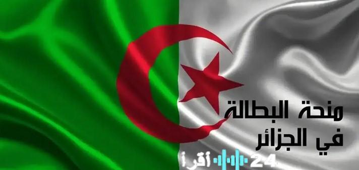 تجديد منحة البطالة لعام 2025 في الجزائر ومتطلبات الوكالة الوطنية للتشغيل