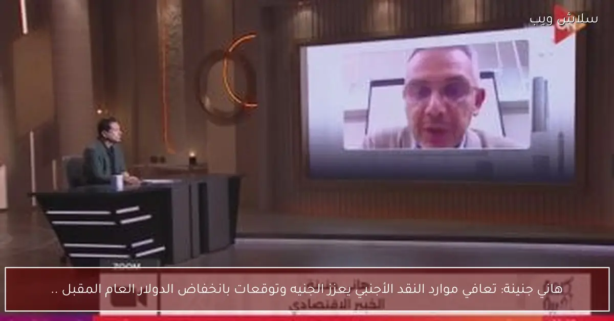 هاني جنينة يتوقع تعافي الجنيه المصري بدعم النقد الأجنبي وتراجع الدولار العام المقبل
