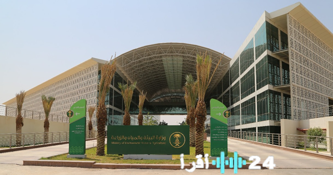 «إيقاف زراعة الأعلاف المعمرة: قرار حاسم يبدأ تطبيقه في 16 نوفمبر»