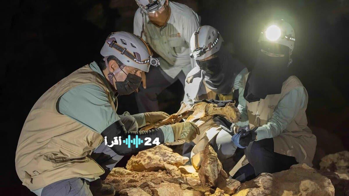 اكتشاف فهود محنطة طبيعياً في كهوف السعودية يشكل تحفة أثرية نادرة