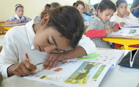 استعلام الآن عن نتائج النقل لعام 2026 لجميع الصفوف عبر بوابة التعليم الأساسي باستخدام رقم الجلوس – كورة اكستريم