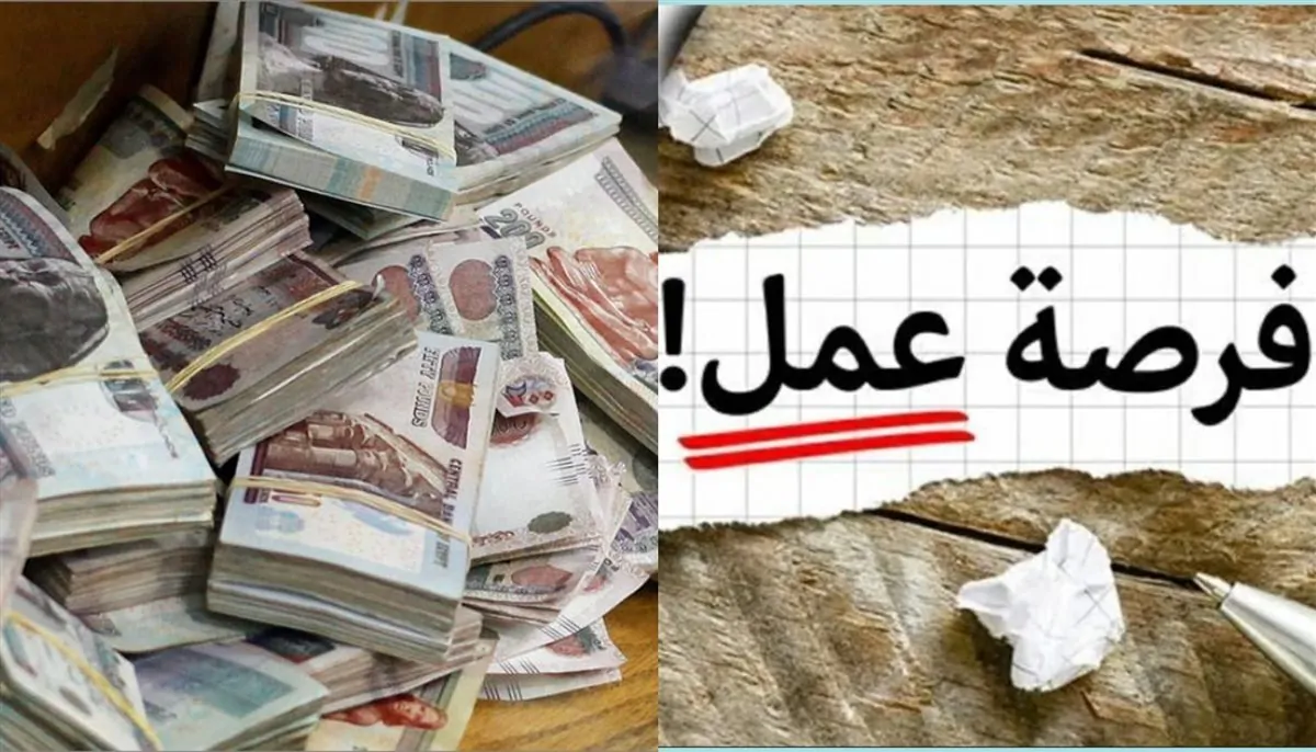 «فرص عمل جديدة: وزارة العمل تعلن عن 100 وظيفة في الإسماعيلية»